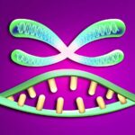 New Scientist. Science news and long reads from expert journalists, covering developments in science, technology, health and the environment on the website and the magazine.