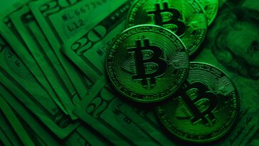 Pourquoi la finance « verte » n’est pas toujours aussi durable qu’il y paraît