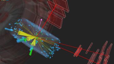 Première observation de la production d'un seul quark top avec les bosons W et Z
