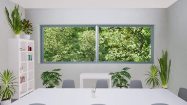 Quand les plantes d’intérieur dépassent la mer : trop de verdure peut augmenter le niveau de stress, selon une étude