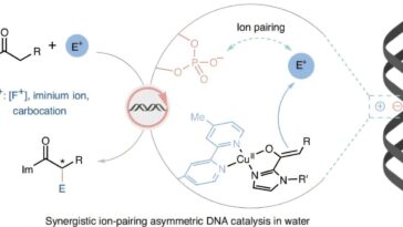 Réinventer la biocatalyse : transformer les phosphates d'ADN en catalyseurs chiraux