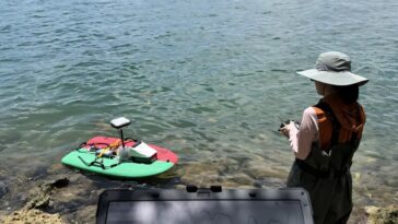 Un océanographe fournit un regard scientifique rare sur les effets des tempêtes sur la baie de Biscayne
