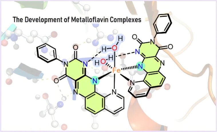 Une enzyme artificielle combine la vitamine B2 avec du métal pour des catalyseurs de nouvelle génération