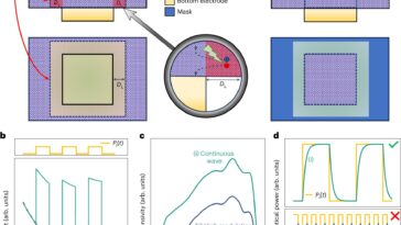 Une initiative mondiale fait progresser les capteurs de lumière de nouvelle génération basés sur des matériaux émergents