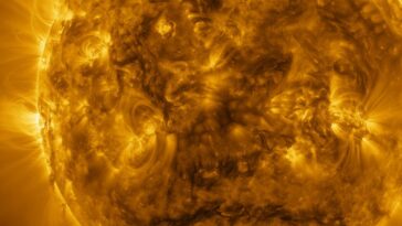 Vidéo : Une proéminence solaire plane au-dessus du soleil