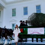 La décoration de Noël de Melania Trump à la Maison Blanche comprend un véritable château de cartes