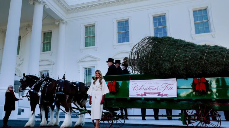 La décoration de Noël de Melania Trump à la Maison Blanche comprend un véritable château de cartes