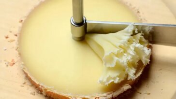 Une meule de fromage est représentée en train d'être grattée pour former une rosette par une lame rotative.