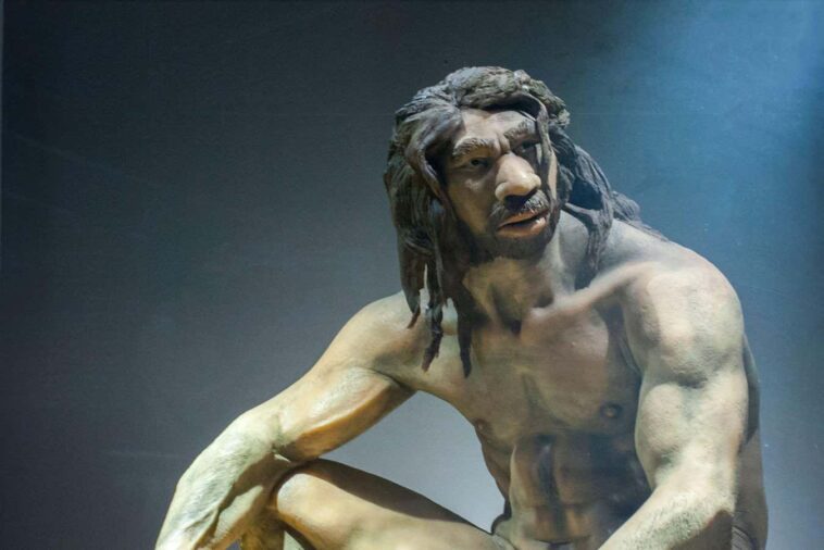 L’année 2025 a été remplie de découvertes passionnantes sur l’évolution humaine