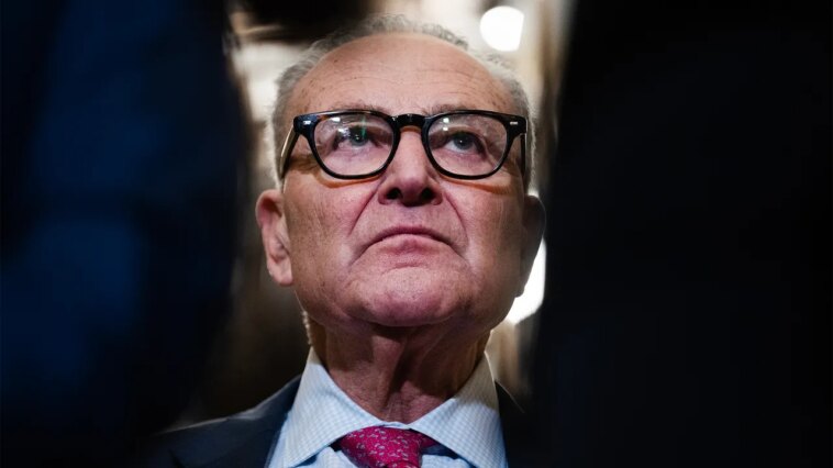 Les démocrates du Sénat forment un « Fight Club » pour forcer Chuck Schumer à l’action