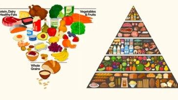 Une illustration de la nouvelle pyramide du guide alimentaire et d’une plus ancienne.