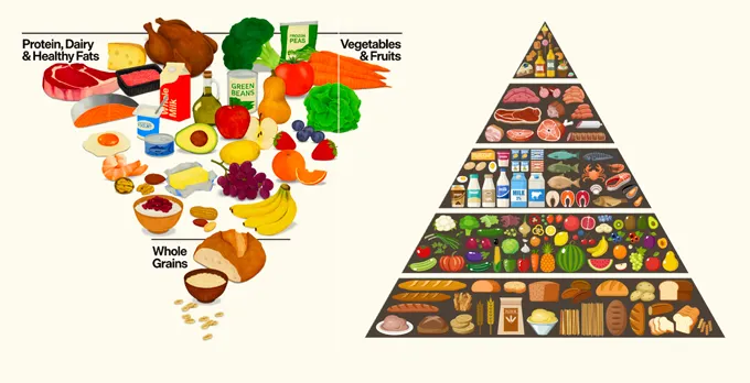 Une illustration de la nouvelle pyramide du guide alimentaire et d’une plus ancienne.