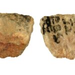 Des pointes de flèches empoisonnées vieilles de 60 000 ans montrent l'habileté des premiers hommes à chasser