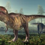 Il a fallu 40 ans au T. rex pour atteindre sa pleine croissance