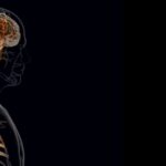 La réponse du cerveau à une crise cardiaque peut aggraver la récupération