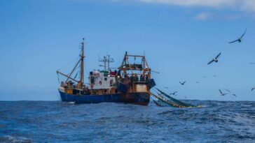 Oceanic trawler l
