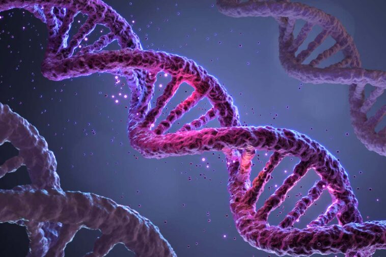 Le syndrome de fatigue chronique semble avoir un élément génétique très fort