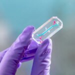 Une main gantée pince un petit morceau de plastique transparent entre deux doigts