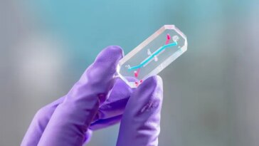 Une main gantée pince un petit morceau de plastique transparent entre deux doigts