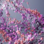 L'apprentissage automatique rationalise les complexités liées à la fabrication de meilleures protéines