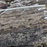 Un affleurement géologique montre des roches sédimentaires en couches avec un bâton de mesure placé sur le dessus pour mesurer l'échelle.