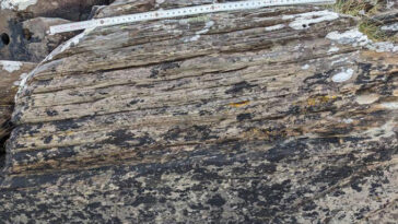 Un affleurement géologique montre des roches sédimentaires en couches avec un bâton de mesure placé sur le dessus pour mesurer l'échelle.