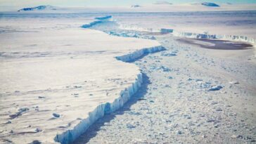 L’affaiblissement de la banquise a provoqué l’accélération d’un glacier crucial de l’Antarctique