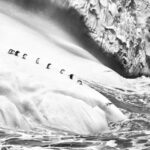 Les superbes photos des régions glacées du monde prises par Sebastião Salgado