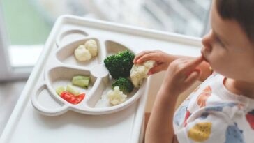 Les tout-petits végétaliens peuvent grandir au même rythme que les omnivores