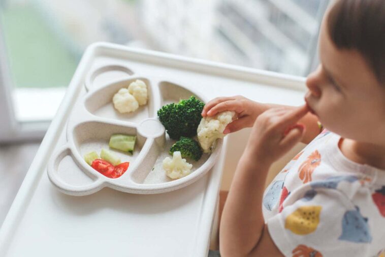 Les tout-petits végétaliens peuvent grandir au même rythme que les omnivores