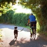 2FN4E6Y Man cycling on a country road with his dog on a leash. Backview of a man who riding with his dog that running next to him. Healthy lifestyle.