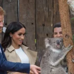 Meghan Markle et le prince Harry se dirigent vers l'Australie