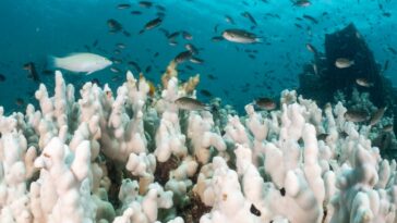 La Terre se réchauffe désormais deux fois plus vite qu’au cours des décennies précédentes