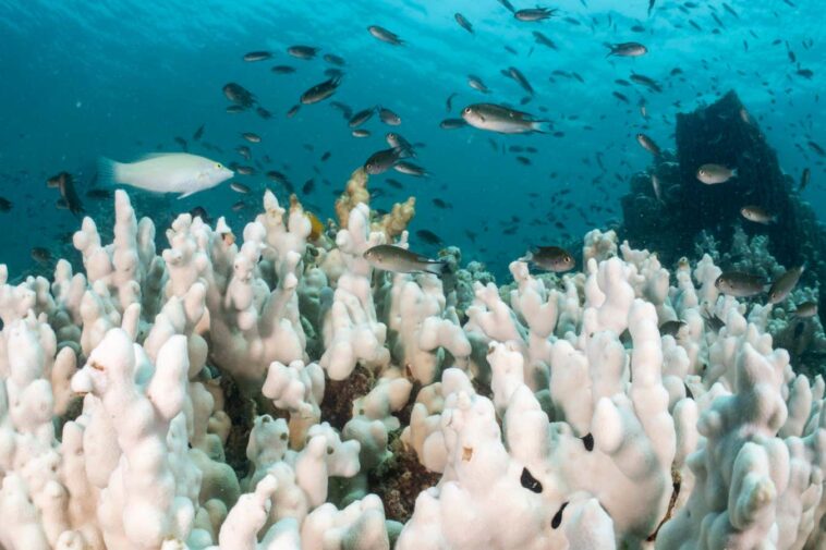 La Terre se réchauffe désormais deux fois plus vite qu’au cours des décennies précédentes