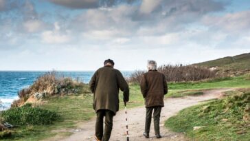 La fragilité peut être atténuée grâce à une perfusion de cellules souches provenant de jeunes