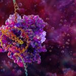 Illustration of the CRISPR-Cas9 gene editing complex (pink and purple) bound to DNA (helix)