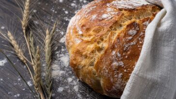 La science révèle le meilleur type de pain pour perdre du poids