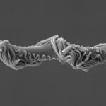 La soie complexe aide les araignées qui lancent des filets à piéger leurs proies dans leurs toiles