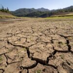 Les espèces peuvent-elles évoluer assez vite pour survivre alors que la planète se réchauffe ?