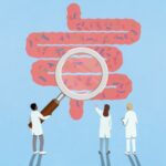 Les simulations de votre intestin peuvent prédire quels probiotiques resteront fidèles