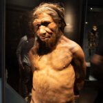 Lorsque nous nous sommes croisés avec les Néandertaliens, ils étaient généralement les pères