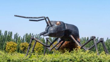 2R40KH8 Metal sculpture of a giant ant in the vineyard of the Huentala Winery in Tupungato, Valle de Uco, Mendoza, Argentina.