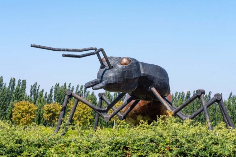 2R40KH8 Metal sculpture of a giant ant in the vineyard of the Huentala Winery in Tupungato, Valle de Uco, Mendoza, Argentina.