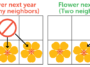 Puzzle mathématique : Fleurs de grille fraîches