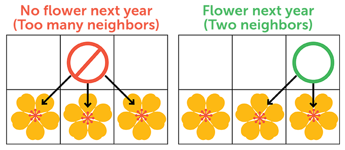 Puzzle mathématique : Fleurs de grille fraîches