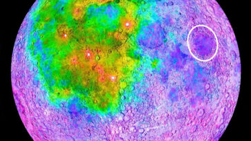 Une carte en fausses couleurs de la lune montre le thorium concentré dans une région sur la face visible, le site d'atterrissage de Blue Ghost étant encerclé à l'extérieur de cette zone.