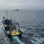 Un essai de géo-ingénierie océanique ne trouve aucune preuve de dommage à la vie marine