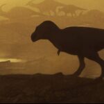 Un gros os de jambe fossile fait allusion aux origines du T. rex, mais les scientifiques ne sont pas d'accord