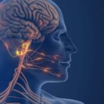 Une nouvelle compréhension des causes de la migraine révèle de nouvelles cibles médicamenteuses