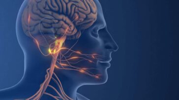 Une nouvelle compréhension des causes de la migraine révèle de nouvelles cibles médicamenteuses